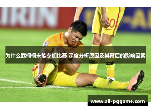 为什么武桐桐未能参加比赛 深度分析原因及其背后的影响因素
